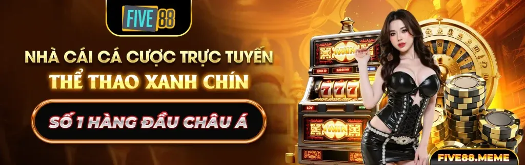 Hình ảnh chính của Blog Vin99